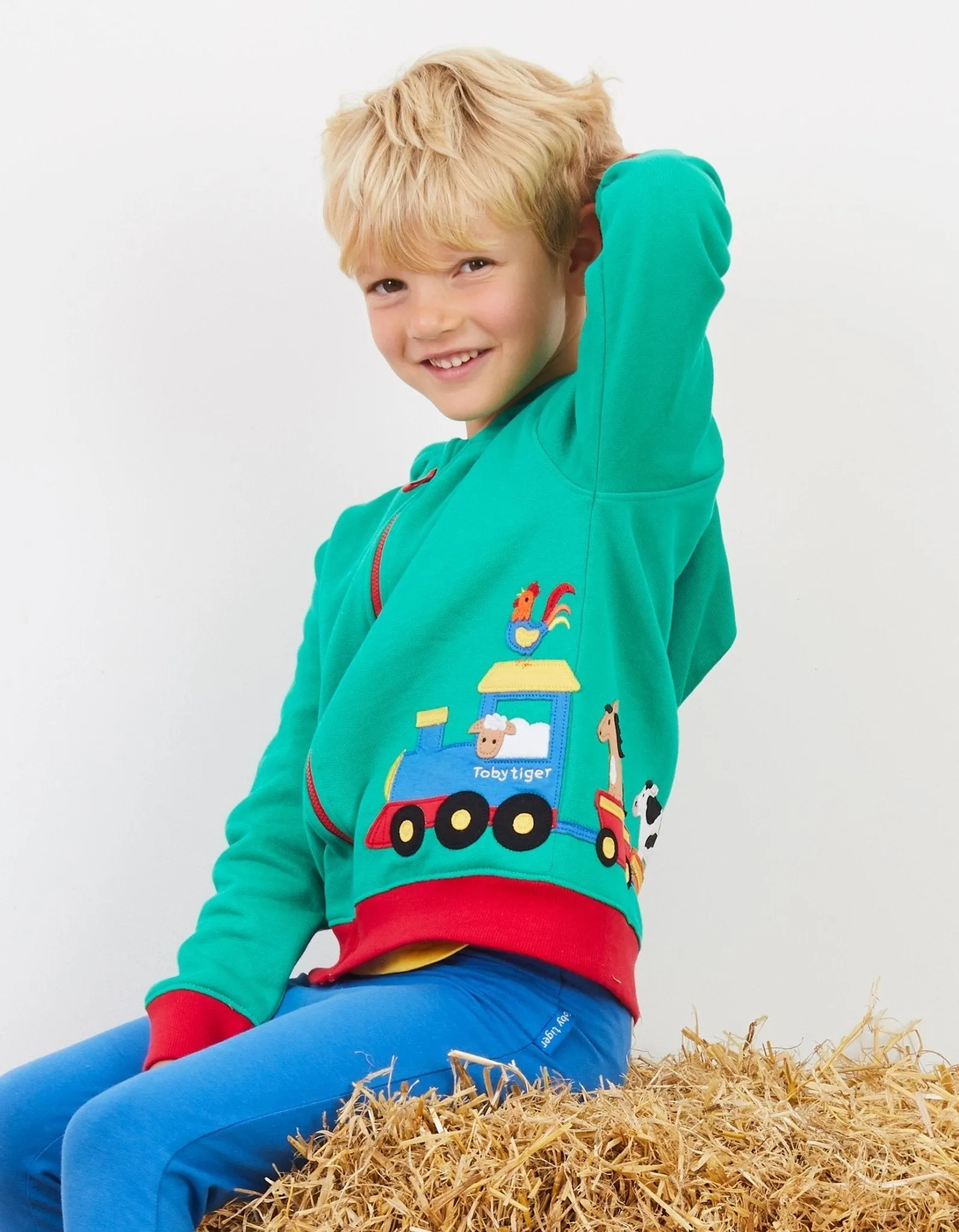 Organic Animal Train Applique Hoodie